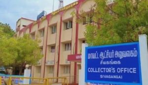 சிவகங்கை மாவட்ட  ஆட்சியர் செவிலியர் வேலை வாய்ப்புக் குறித்து ஒரு அறிக்கை வெளியிட்டுள்ளார் …